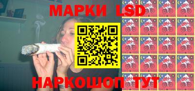 стаф Кинель