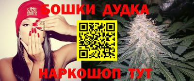 амф Кимры