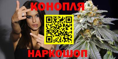 стаф Кинель
