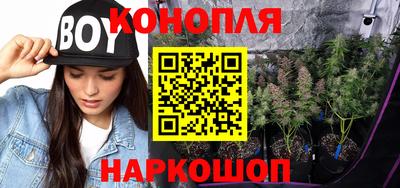 амф Кимры