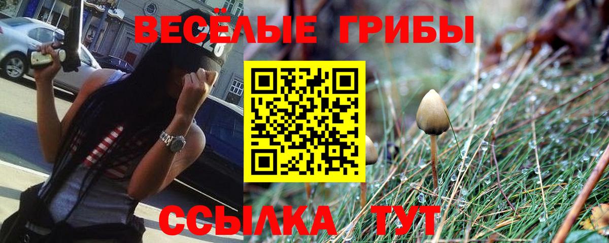 ГАШ Костомукша